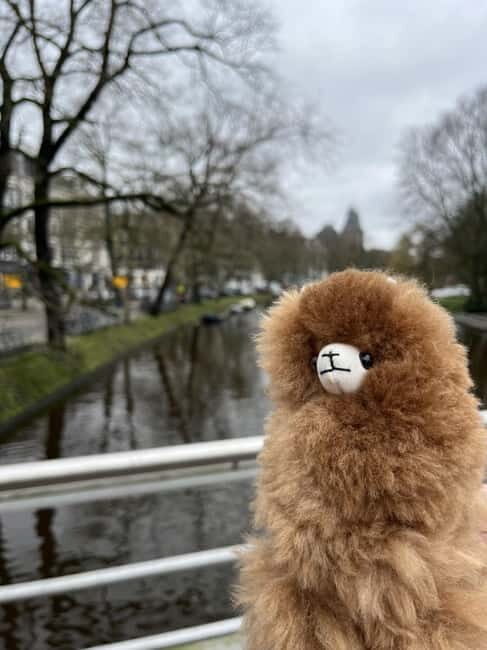 Amsterdam: Rijksmuseum Private Guided Tour & Entry Tickets - Cost and Value