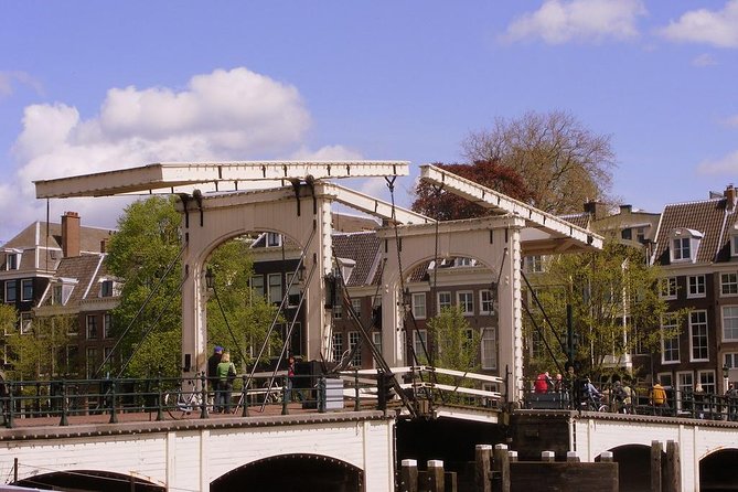 Amsterdam Schiphol Airport Layover 2-4 Hours Tour, Pick up and Drop off Included - The Sum Up