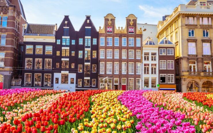 Amsterdam: Self-Guided Outdoor Escape Game - Booking and Logistics