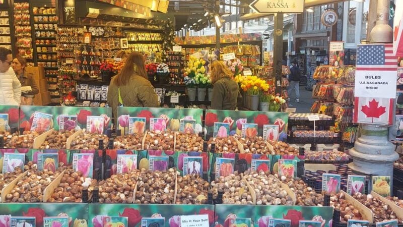 Amsterdam Shore Excursion: Highlights Walk & Canal Cruise - Detailed Tour Breakdown