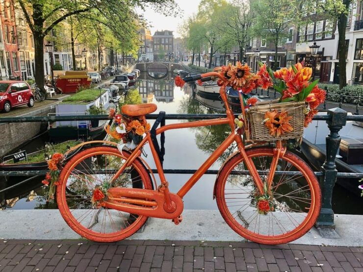 Amsterdam: Small Group Walking Tour With Fun Guide - Highlights of the Experience