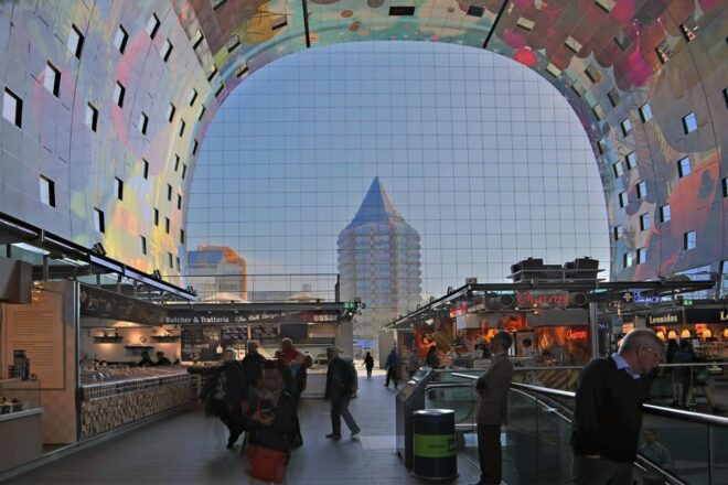 Amsterdam: The Hague, Delft and Rotterdam Private Day Tour - Customer Reviews and Feedback