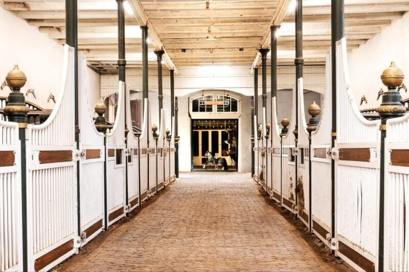 Amsterdam: The 'Hollandsche Manege' Stables Entry Ticket - Good To Know  