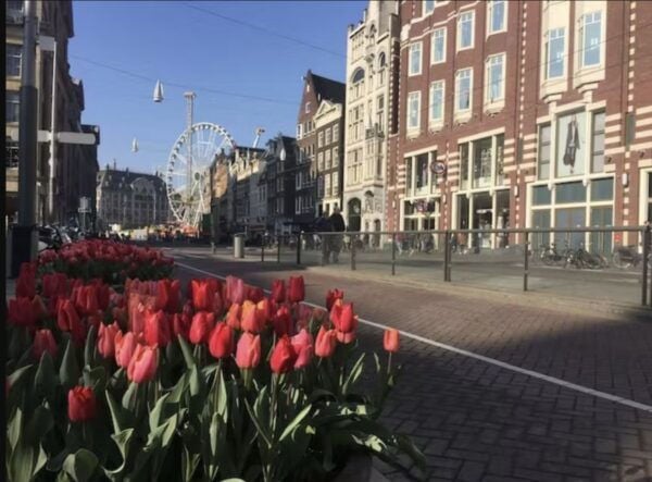 Amsterdam: The Story of History & Culture Walking Tour - Directions