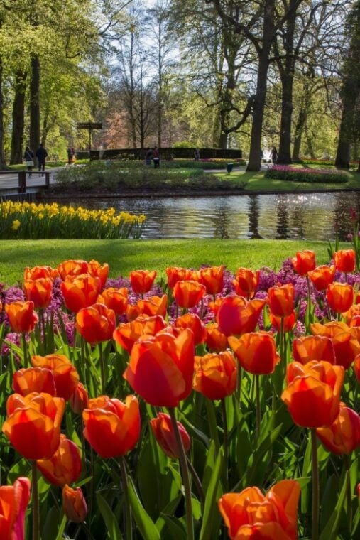 Amsterdam: Tour to Keukenhof Gardens with Windmill Cruise - Authentic Experiences from Guest Feedback
