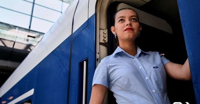 Amsterdam: Train Transfer Schiphol Airport From/To Den Haag - Inclusions and Features of the Train