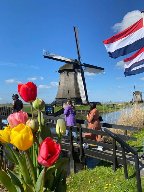 Amsterdam: Tulip Fields Day Tour with Lunch & Windmill - Transportation & Group Size: Why It Matters