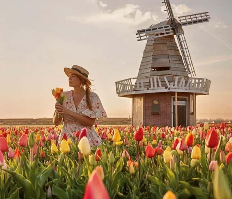 Amsterdam : Tulip Wonderland Tour - Additional Activities and Options