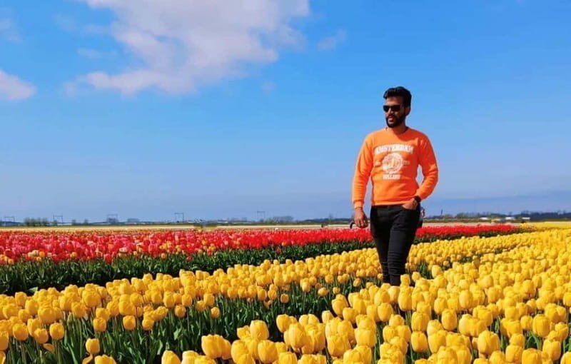 Amsterdam : Tulip Wonderland Tour - The Value of the Tour