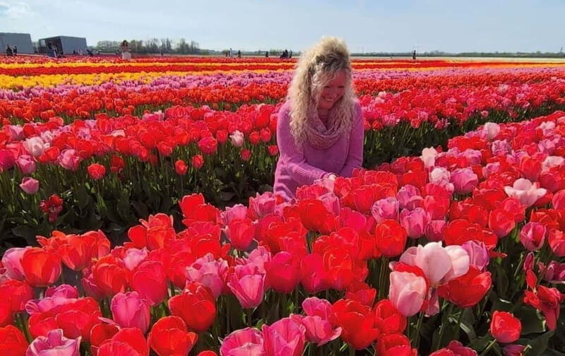 Amsterdam : Tulip Wonderland Tour - Who Will Love This Tour?