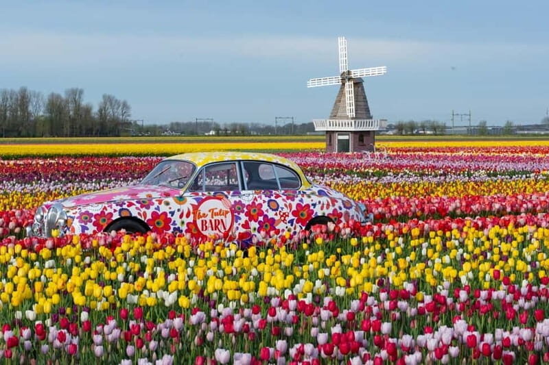Amsterdam : Tulip Wonderland Tour - Final Thoughts