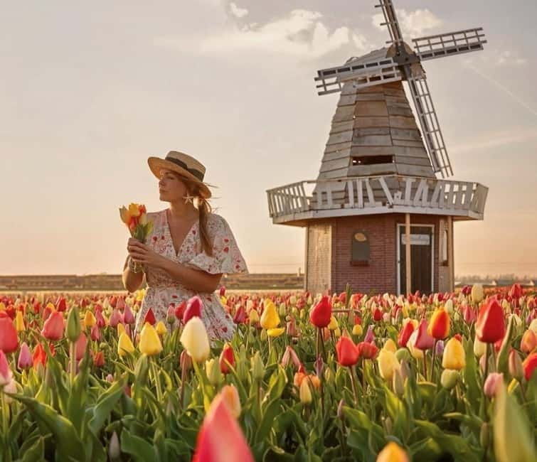 Amsterdam : Tulip Wonderland Tour - Introduction: A Peek into the Tulip Wonderland Tour