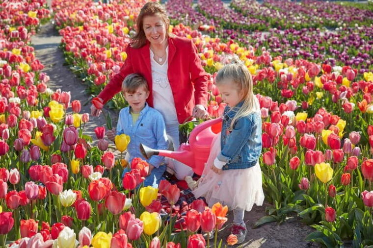 Amsterdam : Tulip Wonderland Tour - Detailed Breakdown of the Experience