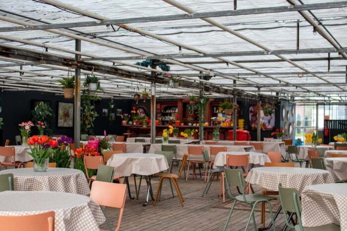 Amsterdam : Tulip Wonderland Tour - FAQ