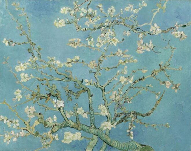Amsterdam: Van Gogh Museum Entry Ticket and Guided Tour - Inclusions