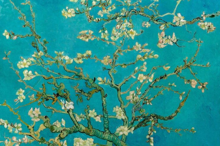 Amsterdam: Van Gogh Museum Ticket and City Canal Cruise - Check Availability and Skip the Ticket Line