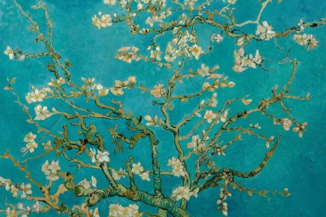 Amsterdam: Van Gogh Museum Ticket & Canal Cruise - Inclusions and Meeting Points
