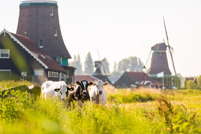 Amsterdam Volendam and Zaanse Schans Windmills Tour - Tour Details