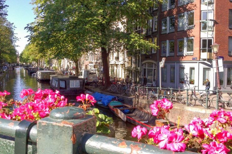 Amsterdam Walking Tour and Canal Cruise - Tour Highlights