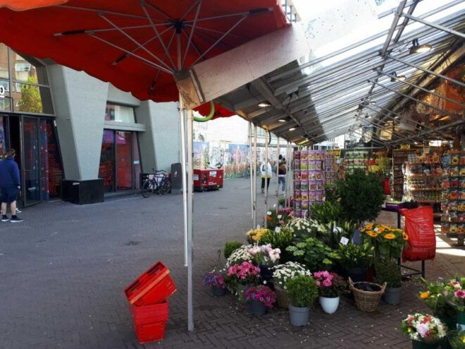 Amsterdam Walking Tour and Canal Cruise - Inclusions and Itinerary