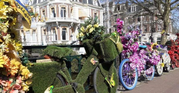 Amsterdam Walking Tour and Canal Cruise - The Sum Up