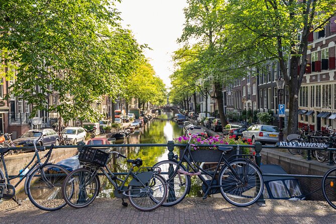 Amsterdam Walking Tour and Cruise With Drinks and Cheese Tasting - Additional Details