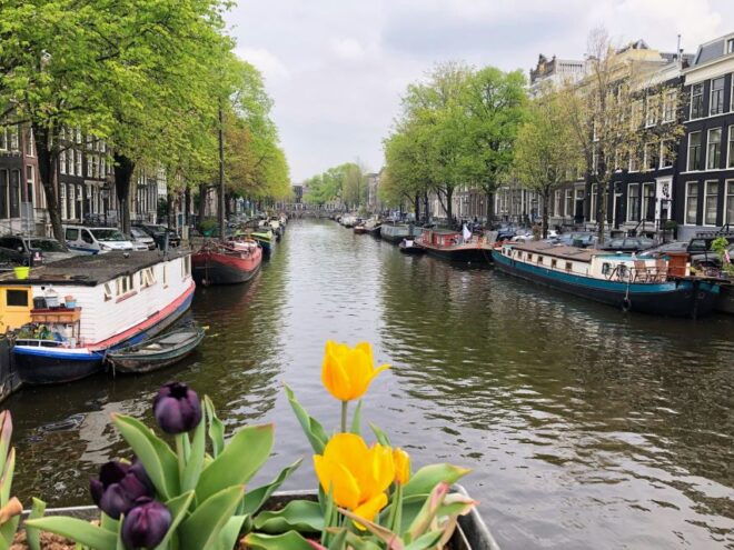 Amsterdam Walking Tour With a Comedian as Guide: City Centre - Discover Hidden Gems and Well-Known Sights