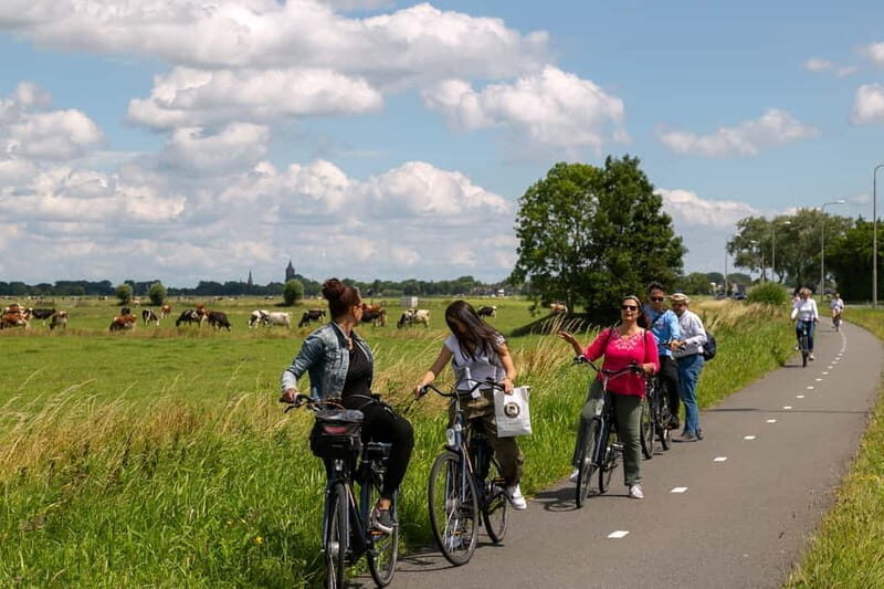 Amsterdam: Windmill, Cheese, and Countryside E-Bike Tour - What to Expect in Terms of Experience
