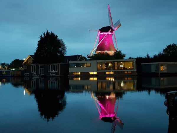 Amsterdam: Windmill Guided Tour - Common Questions