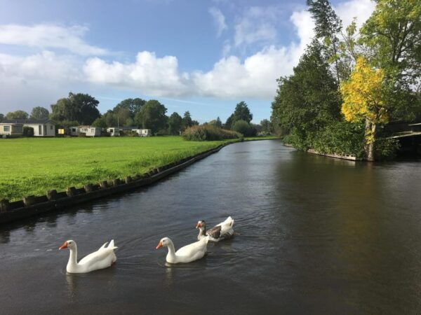 Amsterdam: Zaanse Schans and Giethoorn Day Trip With Cruise - Zaanse Schans: Cheese and Clogs