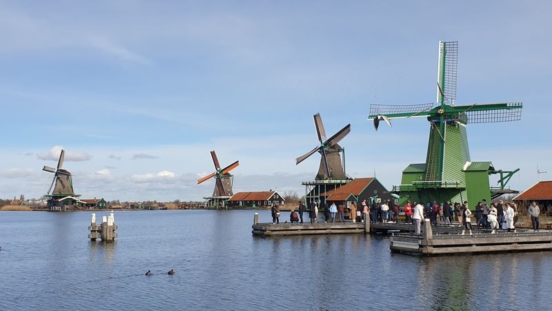 Amsterdam Zaanse Schans & Giethoorn Full-Day Small Group Tour - Two sides of the Dutch countryside in one day