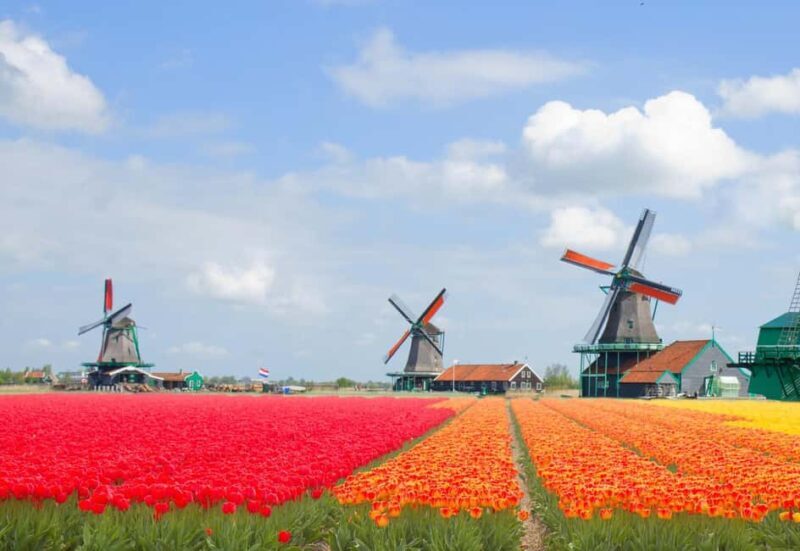 Amsterdam: Zaanse Schans, Windmills & Volendam Private Tour - Discovering the Dutch Countryside: A Closer Look
