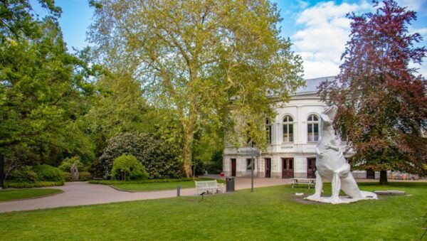 Amsterdam's Art and Culture Revealed by a Local - The Sum Up