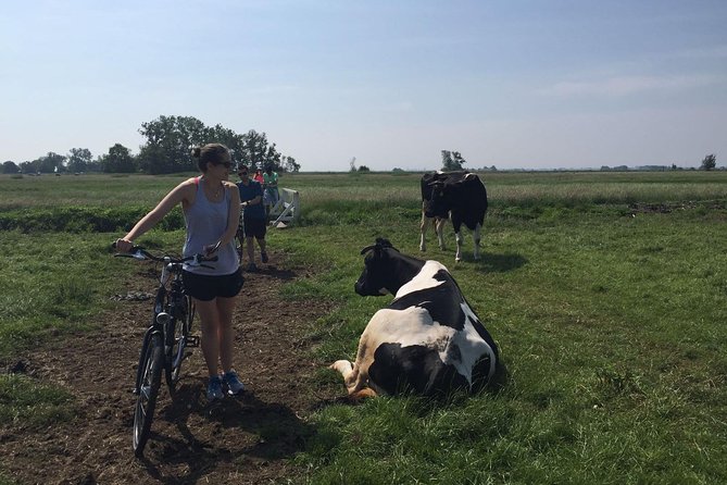 Amsterdams Countryside Half Day Bike Tour - Tour Highlights