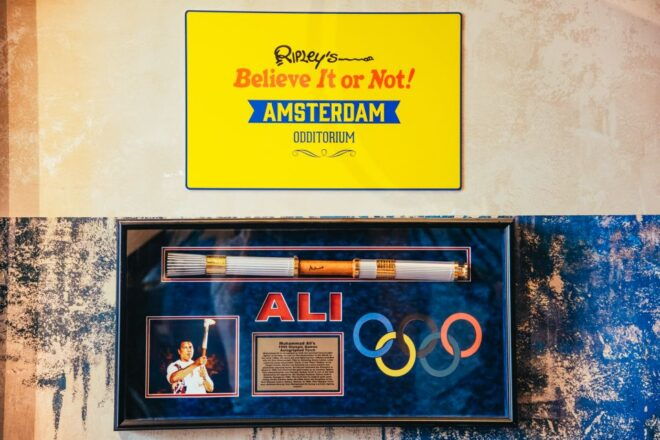 Amsterdam's Weirdest Museum: Believe It or Not! - Visitor Reviews