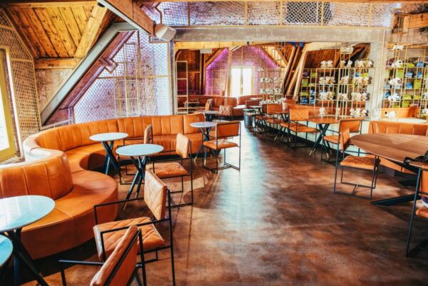 Amsterdam's Weirdest Museum: Believe It or Not! - Rare Art Pieces