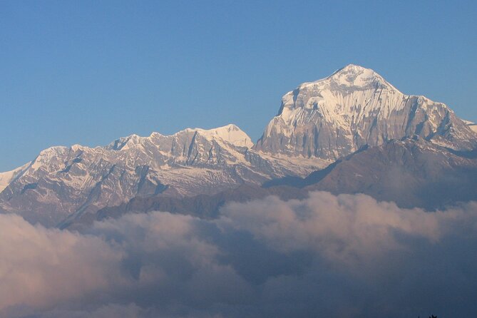 An 8- Day Itinerary for Ghorepani Pun Hill Trek for Sunrise & Himalaya View Tour - Day 2: Trek to Tadapani