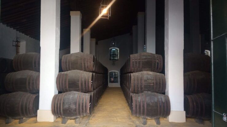 An a Experience in a Century Old Sherry Winery - Booking and Logistics Details