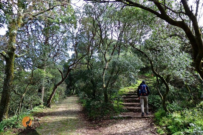 An Adventure Through the Forest and Palace of Bussaco - Coimbra - Walking in the Footsteps of Monks at Bussaco Monastery