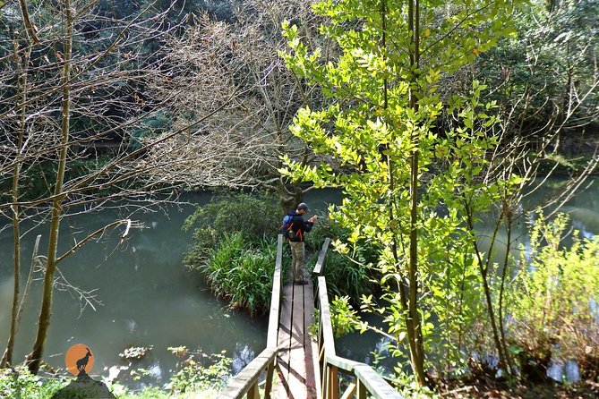 An Adventure Through the Forest and Palace of Bussaco - Coimbra - Discovering the Charming Villages Along the Tour Route