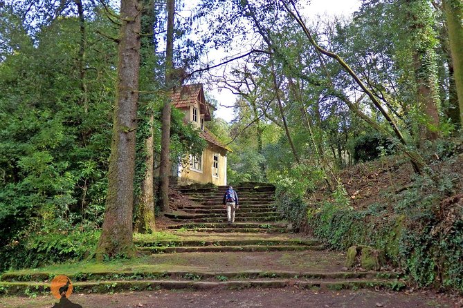 An Adventure Through the Forest and Palace of Bussaco - Coimbra - Unforgettable Reviews: What Travelers Say About Bussaco