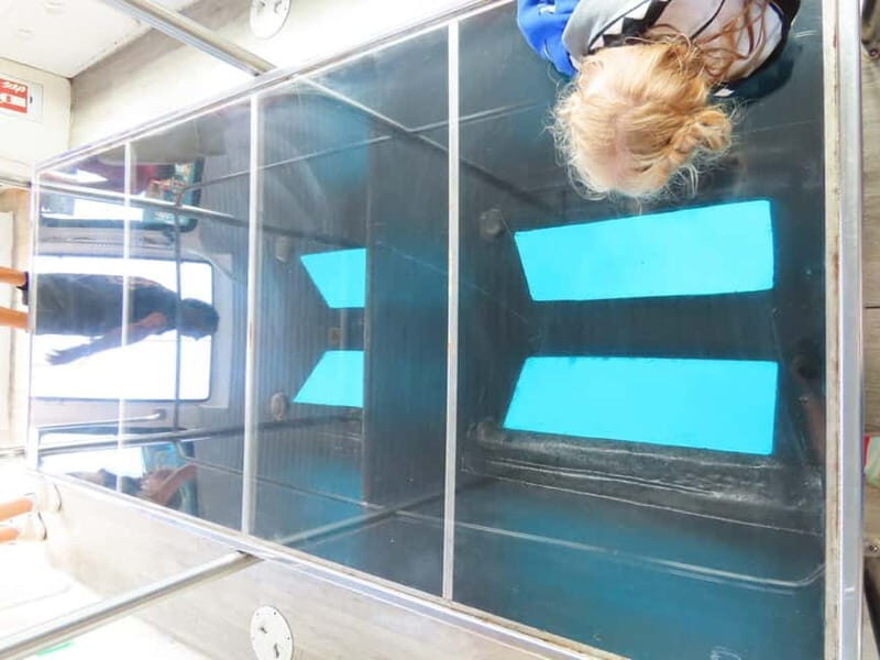 An Aegean Sea Adventure on Glass-Bottom Speedboat Dory! - Who Might Not Enjoy It as Much