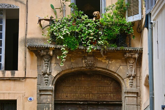 An Aix-Citing Walking Tour of Aix-En-Provence (2.5 Hours) - Additional Information