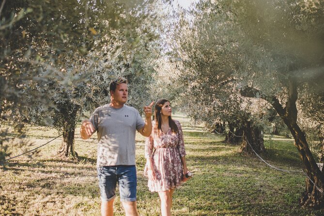 An Authentic Istrian Olive Oil, Wine & Local Food Experience Near Umag - Experience Details