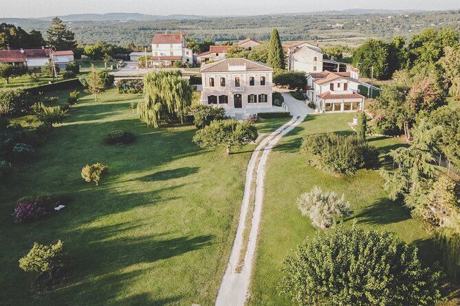 An Authentic Istrian Olive Oil, Wine & Local Food Experience Near Umag - Sample Menu