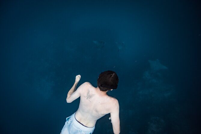 An Eagle Ray and Turtle Tour-Small Groups & Photography Included - The Realities: Pros and Cons