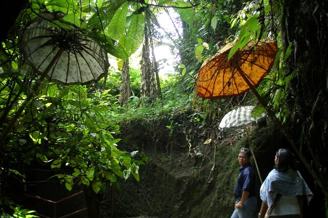 An Eco-Walk Through Green Bali - Tour Pricing and Inclusions