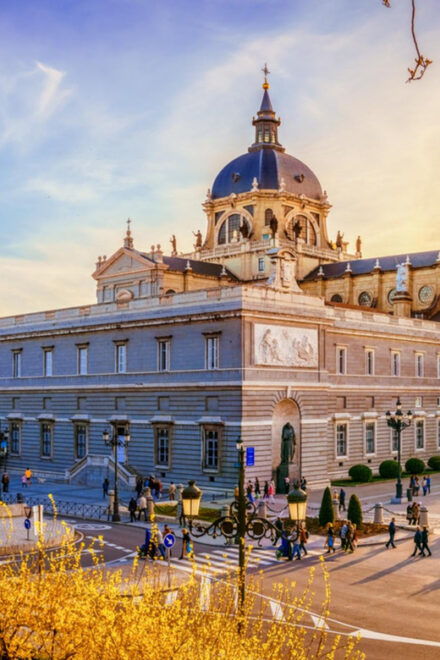 An Essential Walking Tour of the Center - Customer Feedback and Meeting Point