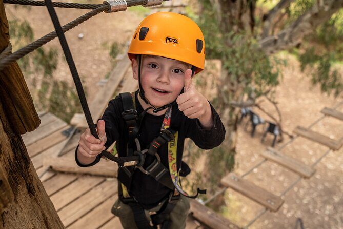 An exciting, Tree Top Adventure for Our Littlest Adventurers - The Sum Up