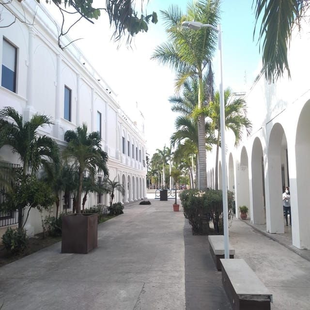 An Experience of Color, Aroma and Flavor in Veracruz. - Highlights and Activities